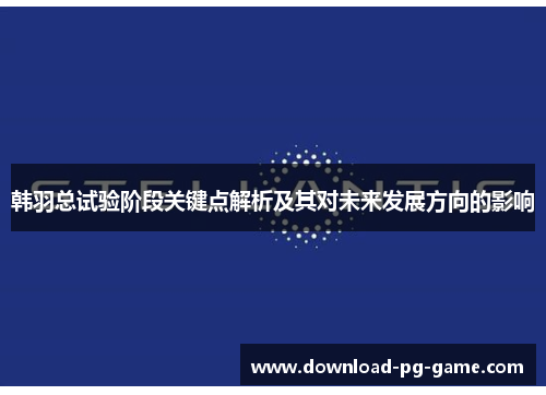 韩羽总试验阶段关键点解析及其对未来发展方向的影响